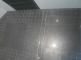 P1010146